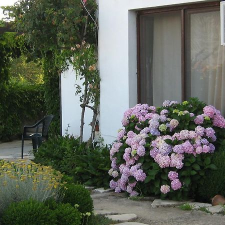 South Beach Villa Sinemoretz Esterno foto