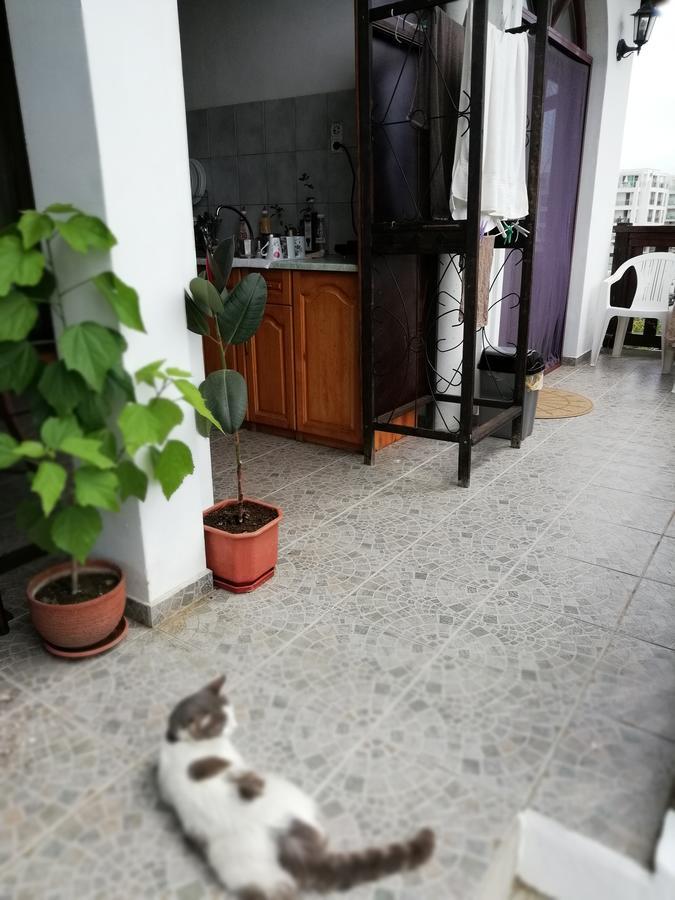 South Beach Villa Sinemoretz Esterno foto